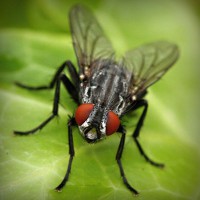 /album/molafate/photolia-a01-jpg/