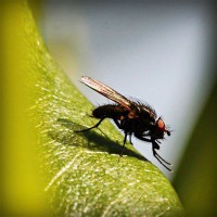 /album/molafate/photolia-a04-jpg/