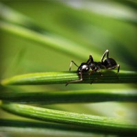 /album/molafate/photolia-a05-jpg/