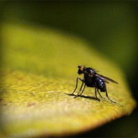 /album/molafate/photolia-a07-jpg/